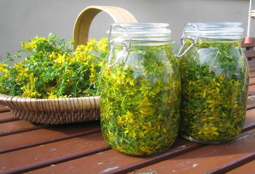 infusion of St. John's wort in cervical osteochondrosis