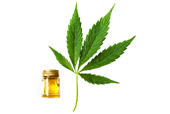 hemp oil Cannabis oil as part of